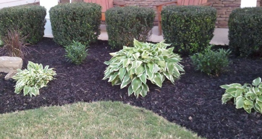 Flower Bed Treatment